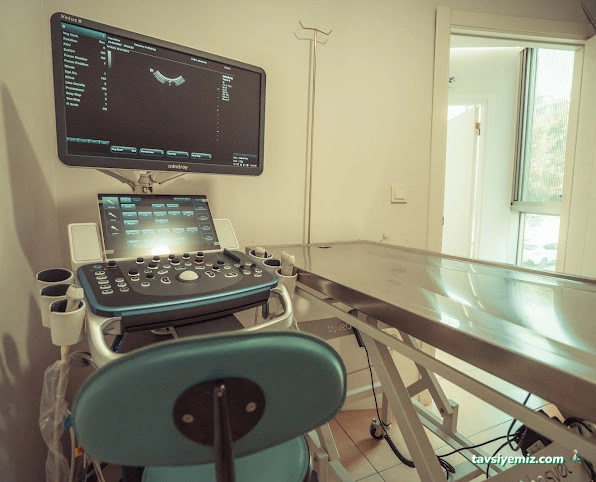 İçerenköy Veteriner Polikliniği