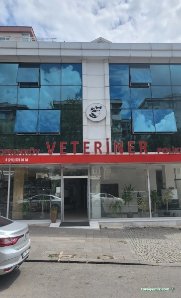 İçerenköy Veteriner Polikliniği