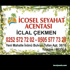 İcosel Turizm Seyahat Acentesi