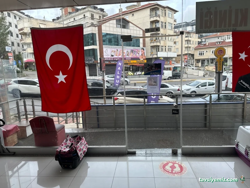 İdealtepe Veteriner Kliniği