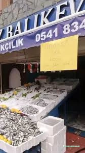 Iğdır Karadeniz Balıkçılık