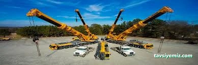 Iğdır Vinç Forklift