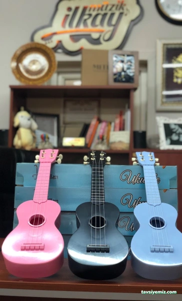 İlkay Müzik Organizasyon