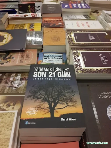 İlke Yayın Dağıtım