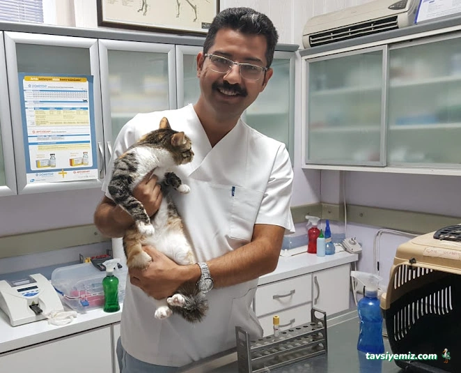 İncek Veteriner Kliniği