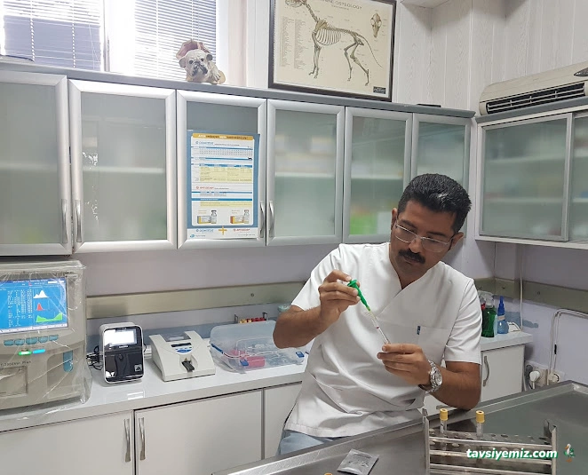 İncek Veteriner Kliniği