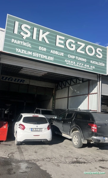Işık Oto Eksoz Katalizör Partikül Adblue Egr Chiptuning Servisi