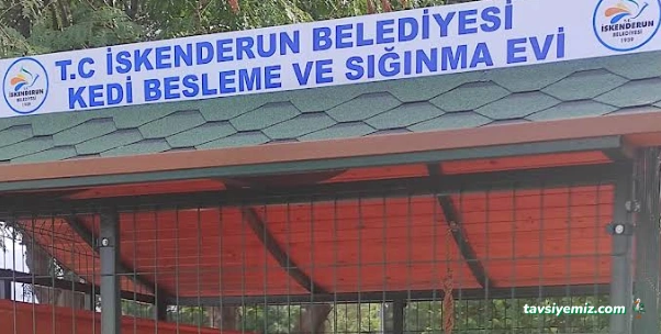 İskenderun Belediyesi Hayvan Barınağı