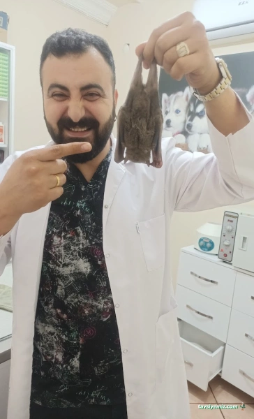 İskenderun Pet House Veteriner Kliniği