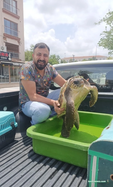 İskenderun Pet House Veteriner Kliniği