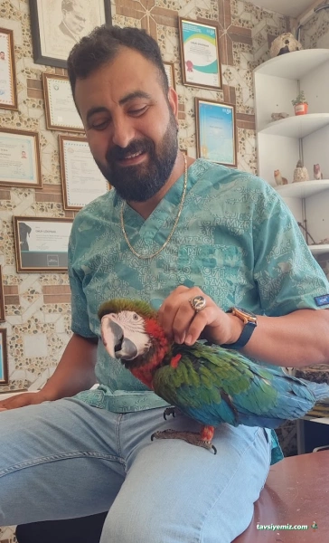 İskenderun Pet House Veteriner Kliniği