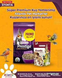 Isparta Atlantis Pet Market