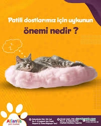 Isparta Atlantis Pet Market