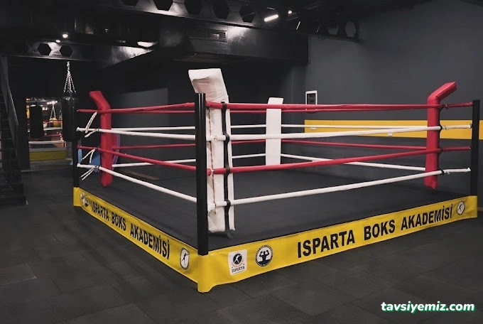 Isparta Boks Akademisi