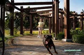 Isparta Pet Otel Armiçi - Kuaför&Kreş