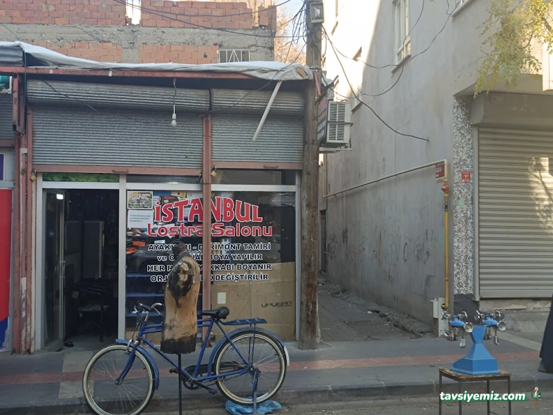 İstanbul Lostra Salonu