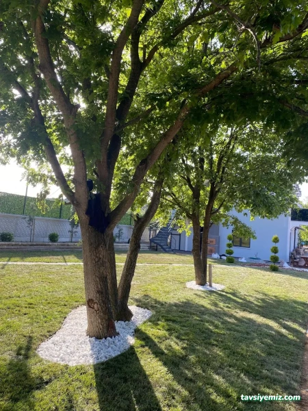 İstanbul Peyzaj - Çevre Düzenleme / Bahçe Düzenleme