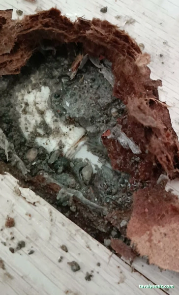 İstanbul Tesisat Ve Doğalgaz Su Kaçaktespiti Tıkalı Olan Pimaş Açma