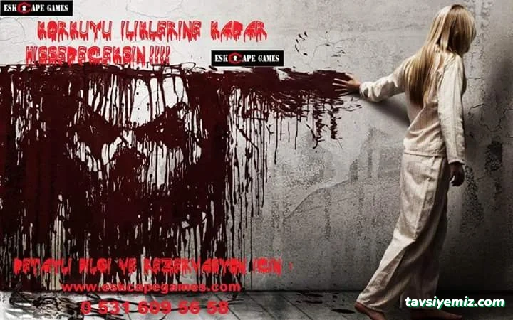 İstiklal, Adalar Sk. No:15, 26010 Odunpazarı/Eskişehir