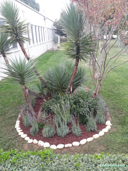 İzmir Peyzaj Ve Sulama Sistemleri Tarım İnşaat San. Ve Tic.ltd.şti.