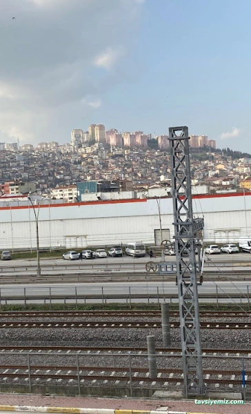 İzmit Psikolog Merkezi - Online Psikolog - Psikoeren - Bireysel Ve Aile Çift Terapi Merkezi