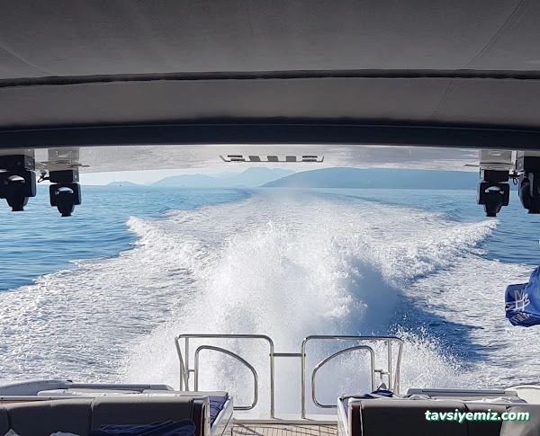 Jm Teknik Jeneratör Ve Deniz Motorları Servis Sanayi Ticaret Limited Şirketi