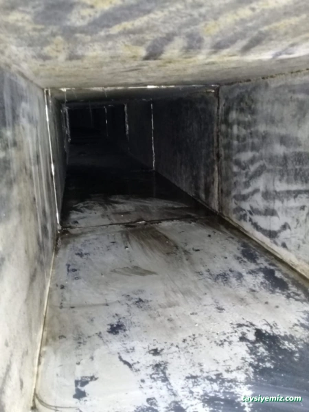 Kadal Baca Temizleme