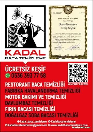 Kadal Baca Temizleme