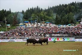 Kafkasör Boğa Güreşleri Festival Alanı