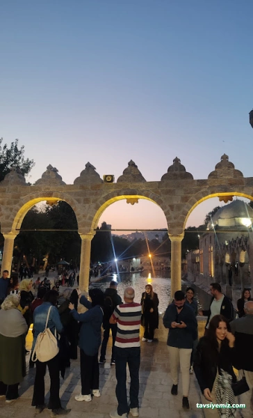 Kahramanmaraş Ardıç Taşımacılık Servis & Tur