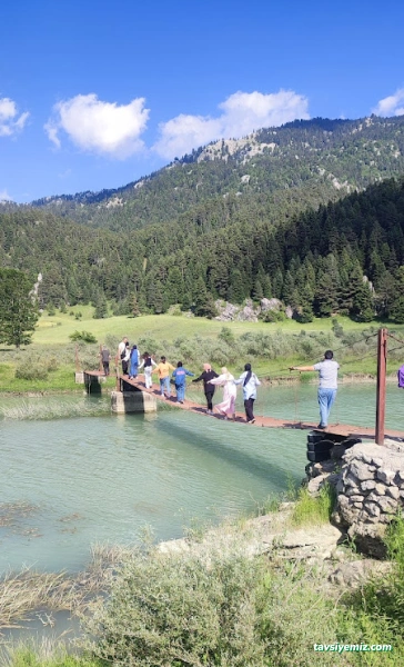 Kahramanmaraş Ardıç Taşımacılık Servis & Tur