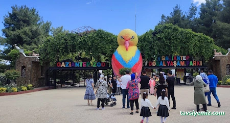 Kahramanmaraş Ardıç Taşımacılık Servis & Tur