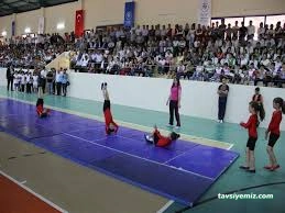 Kahramanmaraş Tosyalı Taekwondo-Cimnastik Ve Futbol Kulubü