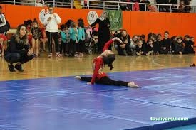 Kahramanmaraş Tosyalı Taekwondo-Cimnastik Ve Futbol Kulubü