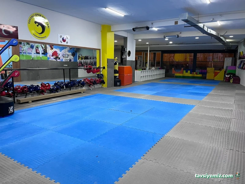 Kahramanmaraş Tosyalı Taekwondo-Cimnastik Ve Futbol Kulubü - Vadi Şubesi