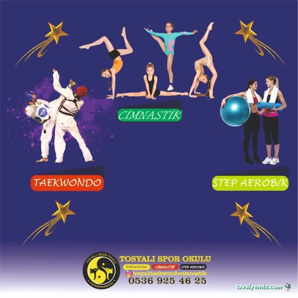 Kahramanmaraş Tosyalı Taekwondo-Cimnastik Ve Futbol Kulubü - Vadi Şubesi