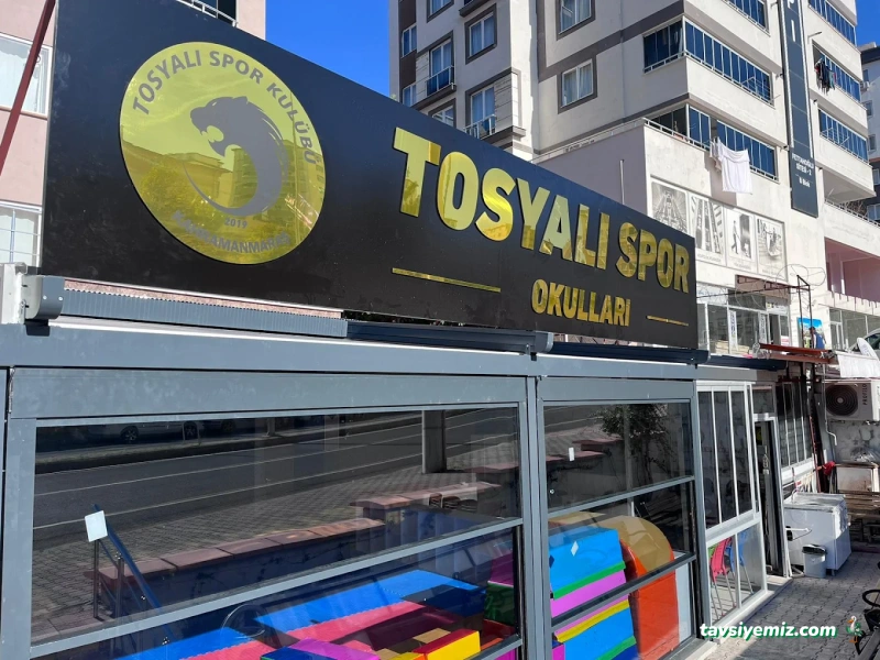 Kahramanmaraş Tosyalı Taekwondo-Cimnastik Ve Futbol Kulubü - Vadi Şubesi