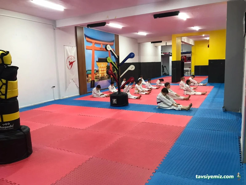 Kahramanmaraş Tosyalı Taekwondo-Cimnastik Ve Futbol Kulubü - Vadi Şubesi