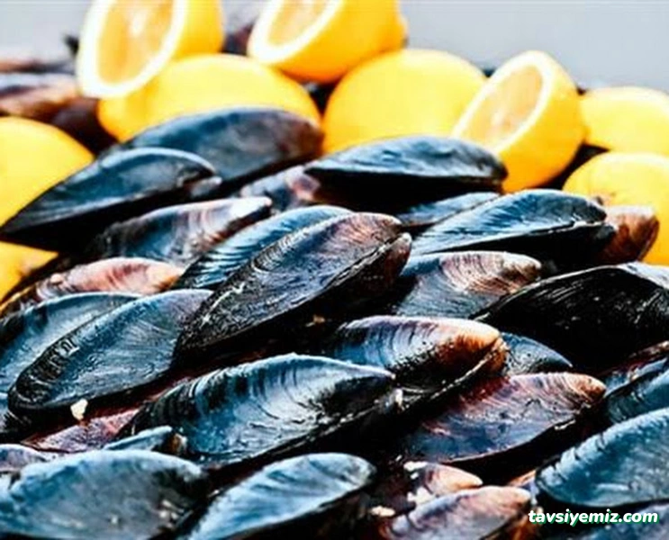 Kahta Çiğ Köfte & Midye & Soğuk Meze