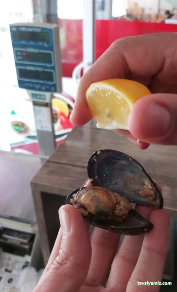 Kahta Çiğ Köfte & Midye & Soğuk Meze