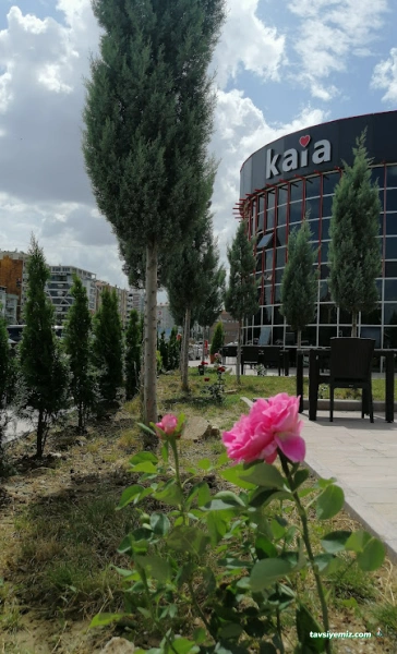 Kaia Restaurant Usak