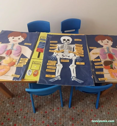 Karabük Beyaz Zambak Anaokulu