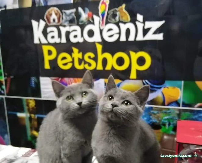 Karadeniz Petshop Kocaeli