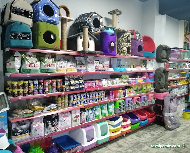 Karadeniz Petshop Kocaeli