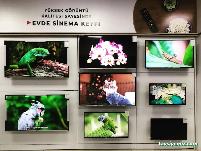 Karağaç Ticaret Regal Showroom