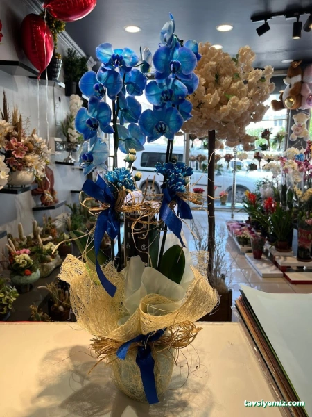 Karaman Sedir Çiçek & Çikolata