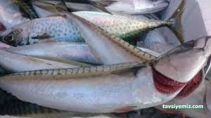 Karaoğlan Balıkçılık Bahabey