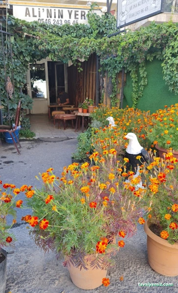 Kardeşler 1Kiraathanesi