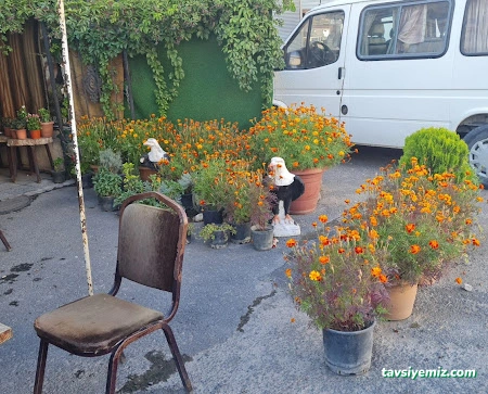 Kardeşler 1Kiraathanesi