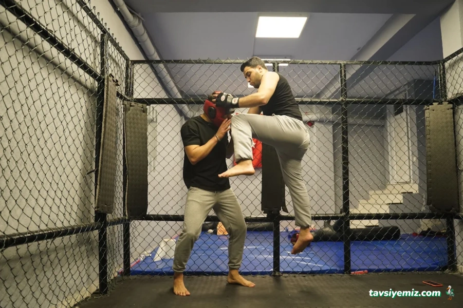 Karma Dövüş Sanatları